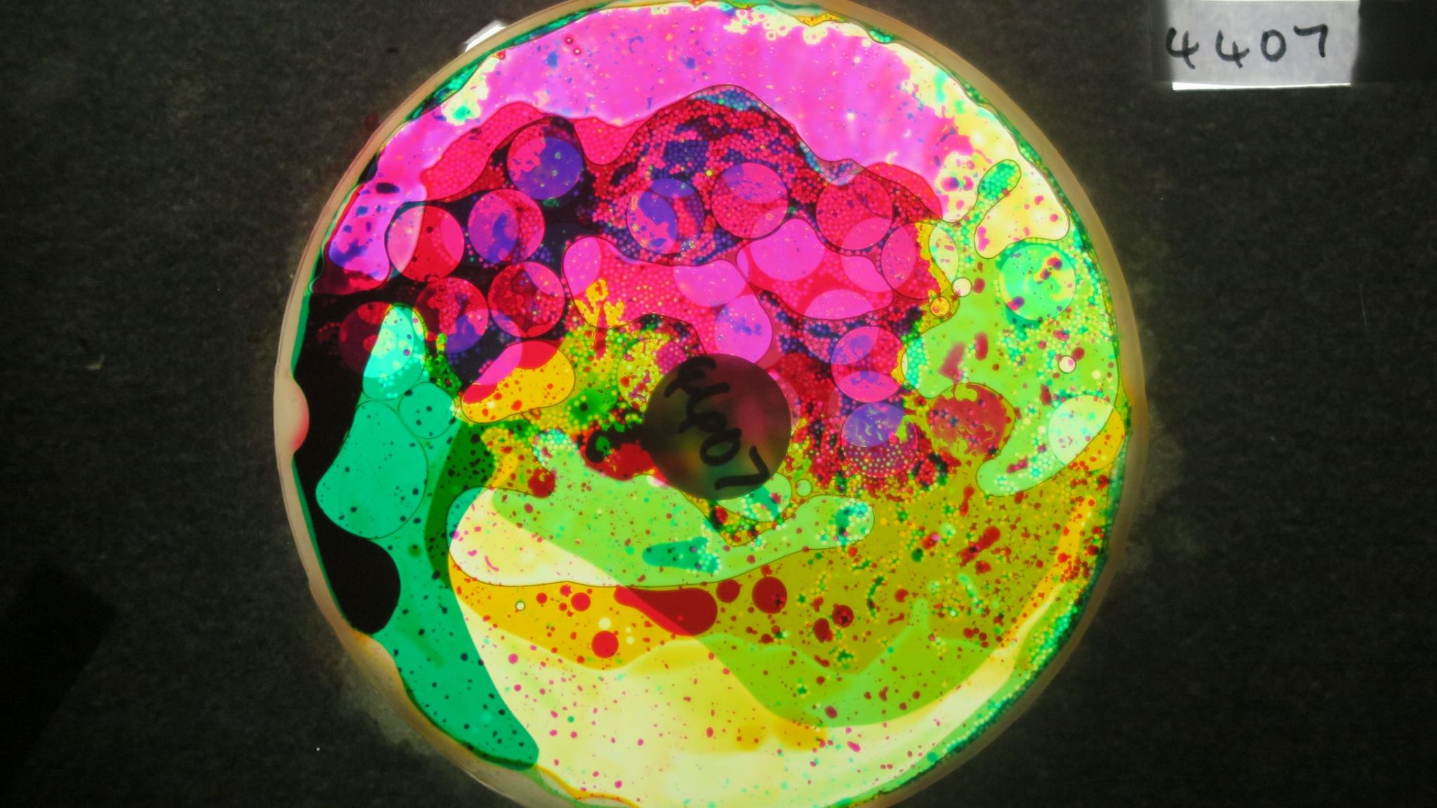 BV4407 bubble vision oil wheel